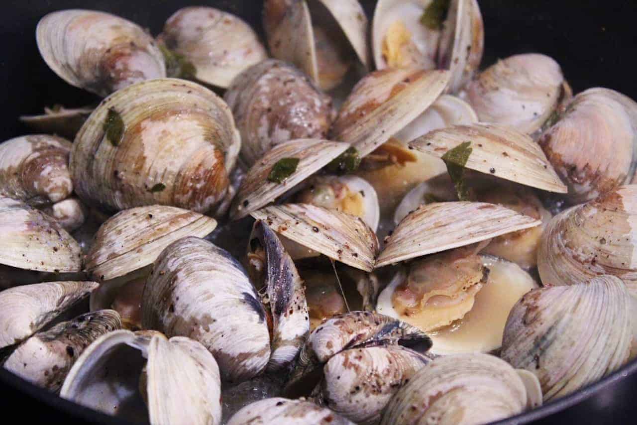 Open steamed clams in a pot.