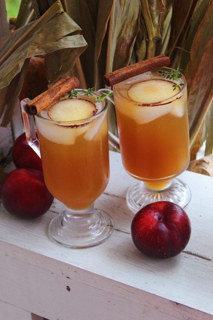 Apple Cider Bourbon Cocktail (with Plums & Thyme) with festive fall background