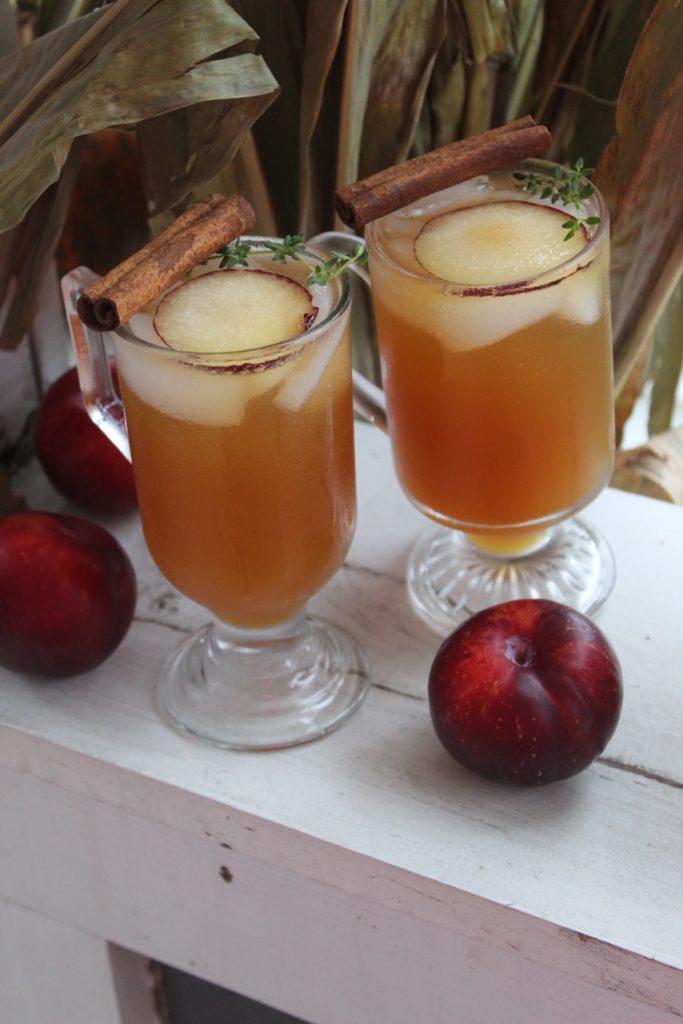 Apple Cider Bourbon Cocktail