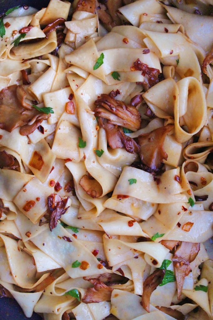 Mushroom Pasta close up